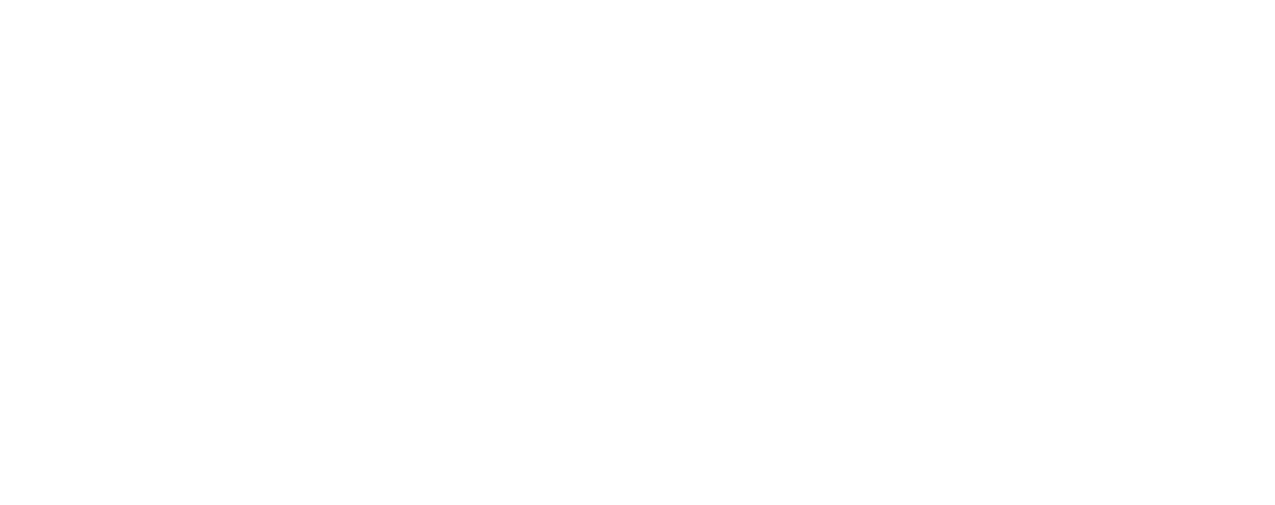 Vrai Logo Ems